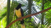Iguazu Brasilien (53) &ndash; &copy; Francisco Javier Burgos Gutierrez (Eberhardt TRAVEL)