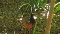 Iguazu Brasilien (61) &ndash; &copy; Francisco Javier Burgos Gutierrez (Eberhardt TRAVEL)