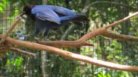 Iguazu Brasilien (66) &ndash; &copy; Francisco Javier Burgos Gutierrez (Eberhardt TRAVEL)