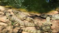 Iguazu Brasilien (76) &ndash; &copy; Francisco Javier Burgos Gutierrez (Eberhardt TRAVEL)