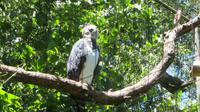 Iguazu Brasilien (79) &ndash; &copy; Francisco Javier Burgos Gutierrez (Eberhardt TRAVEL)
