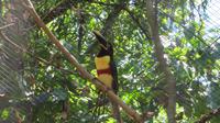 Iguazu Brasilien (82) &ndash; &copy; Francisco Javier Burgos Gutierrez (Eberhardt TRAVEL)