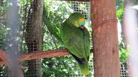 Iguazu Brasilien (92) &ndash; &copy; Francisco Javier Burgos Gutierrez (Eberhardt TRAVEL)
