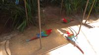 Iguazu Brasilien (96) &ndash; &copy; Francisco Javier Burgos Gutierrez (Eberhardt TRAVEL)
