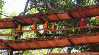 Iguazu Brasilien (97) &ndash; &copy; Francisco Javier Burgos Gutierrez (Eberhardt TRAVEL)