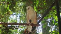 Iguazu Brasilien (113) &ndash; &copy; Francisco Javier Burgos Gutierrez (Eberhardt TRAVEL)