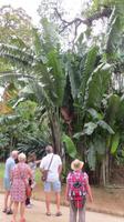 Rio de Janeiro (78) &ndash; &copy; Francisco Javier Burgos Gutierrez (Eberhardt TRAVEL)