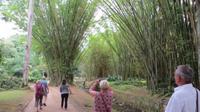 Rio de Janeiro (95) &ndash; &copy; Francisco Javier Burgos Gutierrez (Eberhardt TRAVEL)