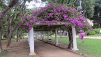 Rio de Janeiro (96) &ndash; &copy; Francisco Javier Burgos Gutierrez (Eberhardt TRAVEL)