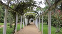 Rio de Janeiro (116) &ndash; &copy; Francisco Javier Burgos Gutierrez (Eberhardt TRAVEL)