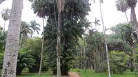 Rio de Janeiro (118) &ndash; &copy; Francisco Javier Burgos Gutierrez (Eberhardt TRAVEL)