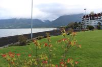 See Villarrica in Pucon &ndash; &copy; Marianne Förster (Eberhardt TRAVEL)