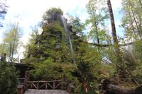 Hotel Nothofagus &ndash; &copy; Marianne Förster (Eberhardt TRAVEL)