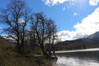 Lago Falkner &ndash; &copy; Marianne Förster (Eberhardt TRAVEL)