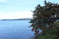 Puerto Varas &ndash; &copy; Marianne Förster (Eberhardt TRAVEL)