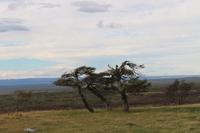 Patagonische Steppe &ndash; &copy; Marianne Förster (Eberhardt TRAVEL)