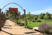 Weingut Matetic &ndash; &copy; Marianne Förster (Eberhardt TRAVEL)