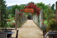 Matetic Restaurant - Buffet-Essen - Chile &ndash; &copy; Eric Richter (Eberhardt TRAVEL)