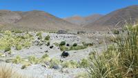 Fahrt von Salta nach San Antonio de los Cobres &ndash; &copy; Katrin Deutschbein (Eberhardt TRAVEL)