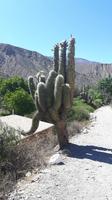 Humahuaca-Schlucht - Pucará de Tilcara &ndash; &copy; Katrin Deutschbein (Eberhardt TRAVEL)