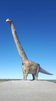 Trelew (größter Dinosaurier der Welt) &ndash; &copy; Katrin Deutschbein (Eberhardt TRAVEL)