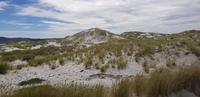 Falkland Inseln - Fahrt zur Gipsy Cove &ndash; &copy; Jacob Spangenberg (Eberhardt TRAVEL)