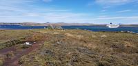 Falkland Inseln - Gipsy Cove &ndash; &copy; Jacob Spangenberg (Eberhardt TRAVEL)