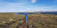 Falkland Inseln - Gipsy Cove &ndash; &copy; Jacob Spangenberg (Eberhardt TRAVEL)