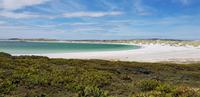 Falkland Inseln - Gipsy Cove &ndash; &copy; Jacob Spangenberg (Eberhardt TRAVEL)