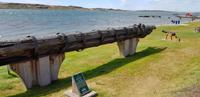 Falkland Inseln - Hauptstadt Stanley &ndash; &copy; Jacob Spangenberg (Eberhardt TRAVEL)