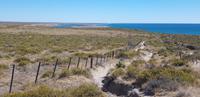 Argentinien - Halbinsel Valdes &ndash; &copy; Jacob Spangenberg (Eberhardt TRAVEL)