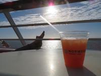 Der Sonne entgegen &ndash; &copy; Rico Manns (Eberhardt TRAVEL)