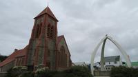 Falkland Insel &ndash; &copy; Rico Manns (Eberhardt TRAVEL)