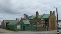 Falkland Insel &ndash; &copy; Rico Manns (Eberhardt TRAVEL)
