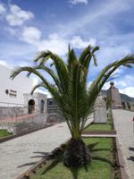 Äquatordenkmal &ndash; &copy; Philip Seidel (Eberhardt TRAVEL)