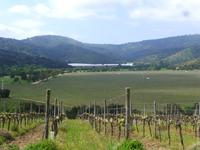 Weingut Matetic &ndash; &copy; Kerstin Hugel (Eberhardt TRAVEL)