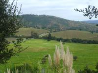 Weingut Matetic &ndash; &copy; Kerstin Hugel (Eberhardt TRAVEL)