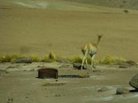 P1200114 &ndash; &copy; Kerstin Hugel (Eberhardt TRAVEL)
