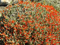 P1200531 &ndash; &copy; Kerstin Hugel (Eberhardt TRAVEL)