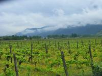 P1200818 &ndash; &copy; Kerstin Hugel (Eberhardt TRAVEL)