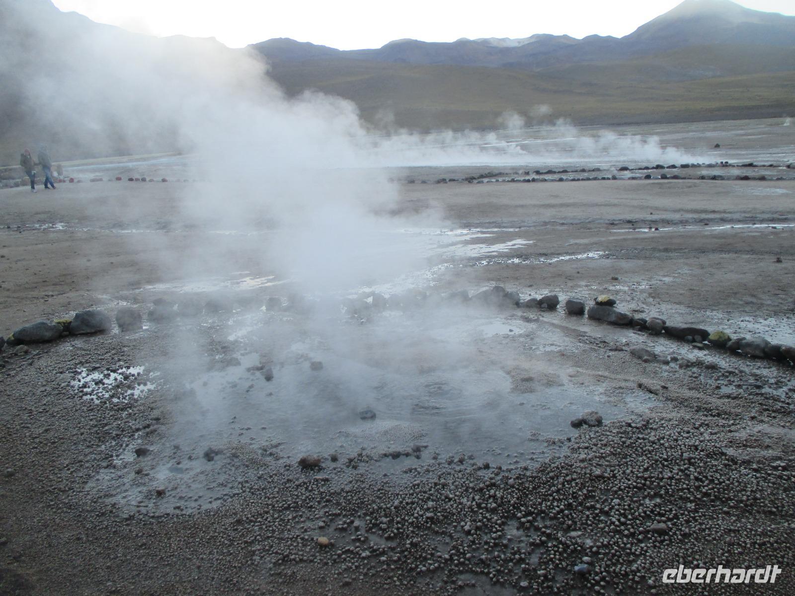 El Tatio-Geysire &ndash; &copy; Sylvia Sann (Eberhardt TRAVEL)