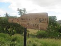 auf dem Weingut Matetic &ndash; &copy; Sylvia Sann (Eberhardt TRAVEL)