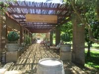 auf dem Weingut Matetic &ndash; &copy; Sylvia Sann (Eberhardt TRAVEL)