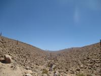 Atacama-Wüste &ndash; &copy; Sylvia Sann (Eberhardt TRAVEL)
