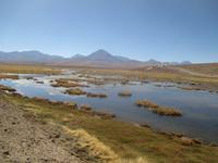 Atacama-Wüste &ndash; &copy; Sylvia Sann (Eberhardt TRAVEL)