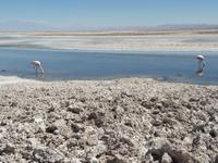 Salar de Atacama &ndash; &copy; Sylvia Sann (Eberhardt TRAVEL)