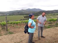 Weingut Matetic &ndash; &copy; Sylvia Sann (Eberhardt TRAVEL)