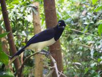 Iguazú &ndash; &copy; Sinah Witzig (Eberhardt TRAVEL)