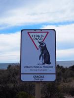 Punta Tombo &ndash; &copy; Sinah Witzig (Eberhardt TRAVEL)