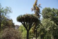 Cerro de Amor (3) &ndash; &copy; Susanne Schirmann (Eberhardt TRAVEL)